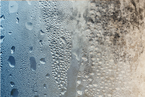 Condensation and mould