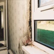 Homes Act Mould